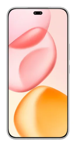 Honor 400 Pro 17 cm (6.7") MagicOS 9.0 5G 12 GB 512 GB 5300 mAh Grey