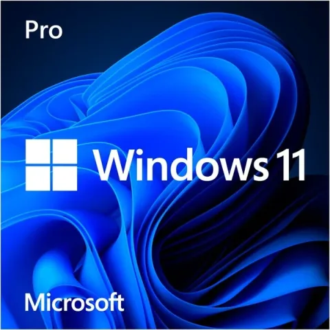 Microsoft Windows 11 Pro OEM