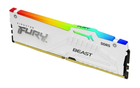 Kingston Technology KF556C36BWEA-32