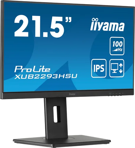 iiyama ProLite XUB2293HSU-B7 computer, 21.5"