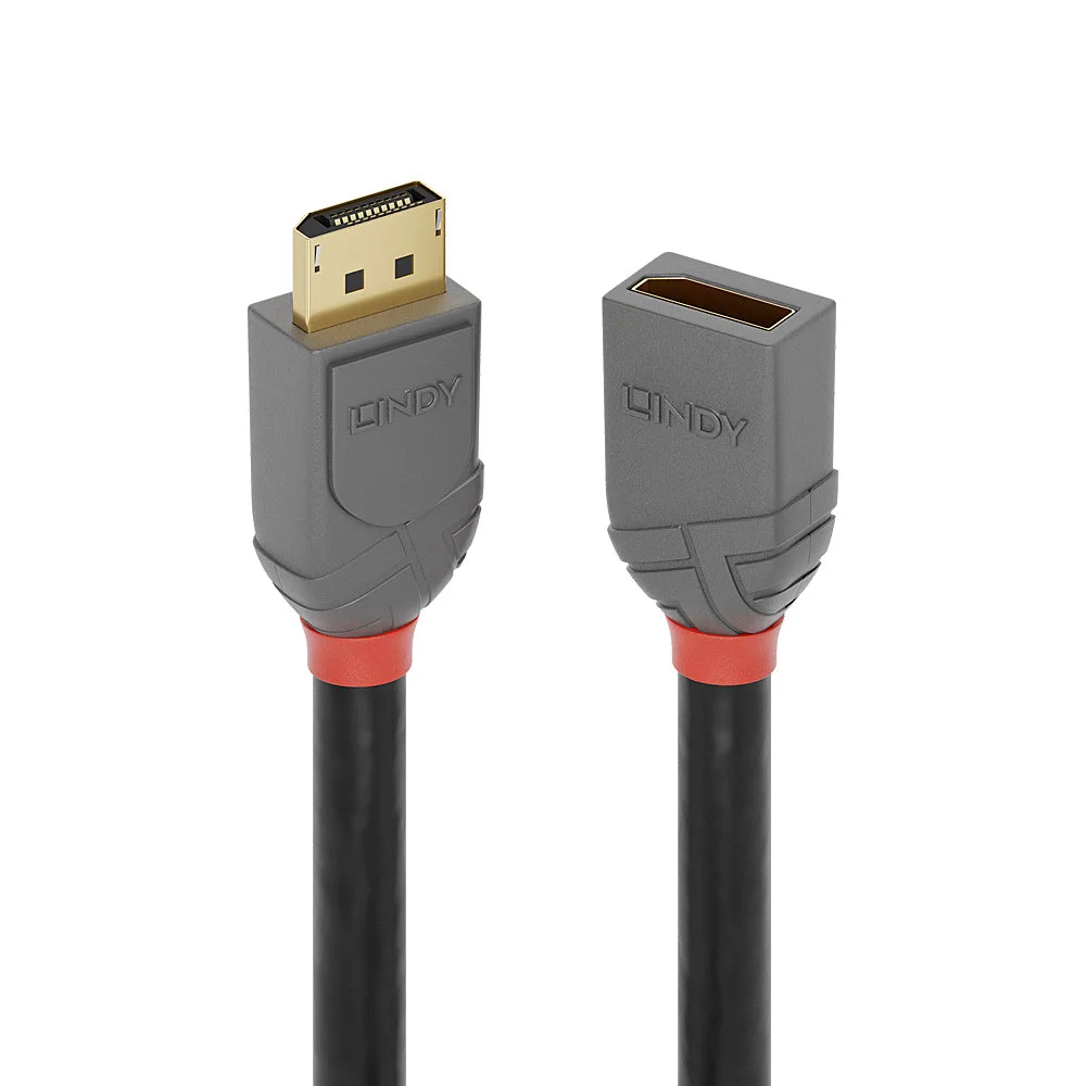 Lindy 36495 DisplayPort kabelis 0,5 m Juoda