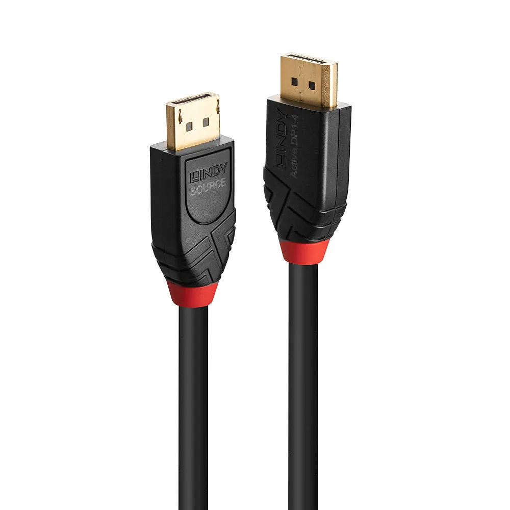 Lindy 41169 DisplayPort kabelis 10 m Juoda