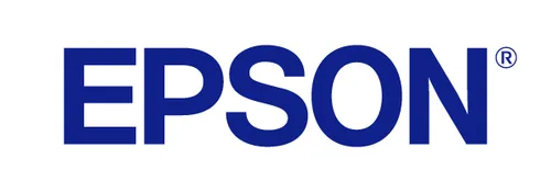 Epson Toner Magenta purpurinės spalvos dažai S050243