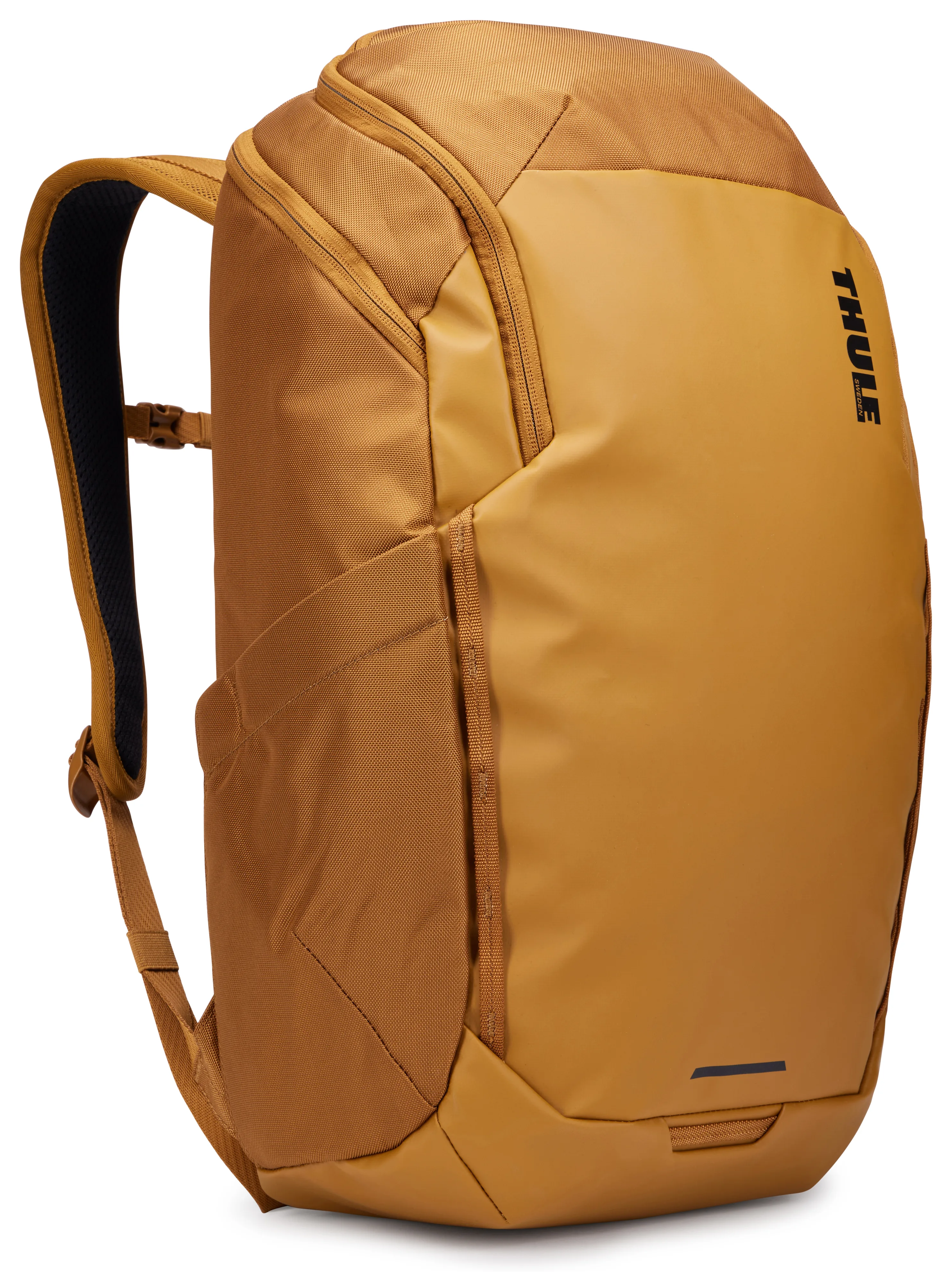 TCHB215 Golden Brown